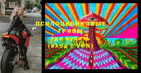 шишки Сосновый Бор
