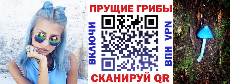 KRAKEN маркетплейс Бикин Псилоцибиновые грибы мухоморы